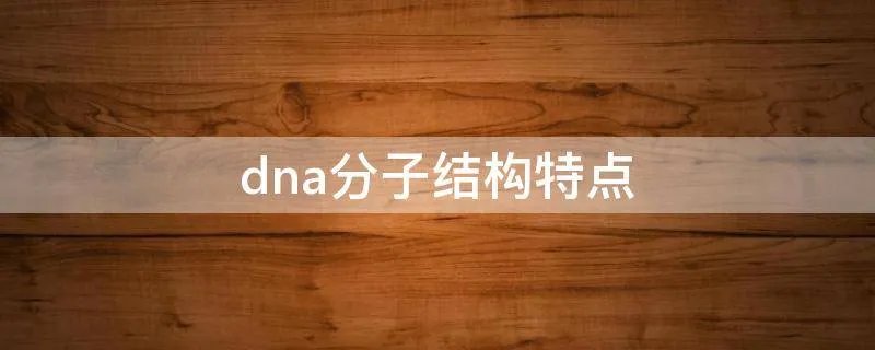 dna分子结构特点