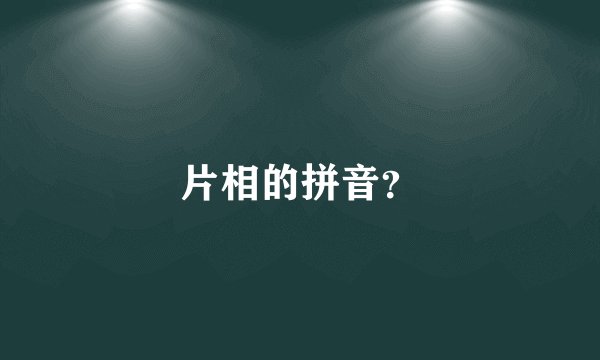 片相的拼音？