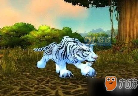 《魔兽世界怀旧服》虎王邦加拉什宠物属性介绍 虎王邦加拉什在哪里