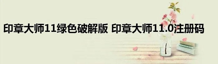 印章大师11绿色破解版 印章大师11.0注册码