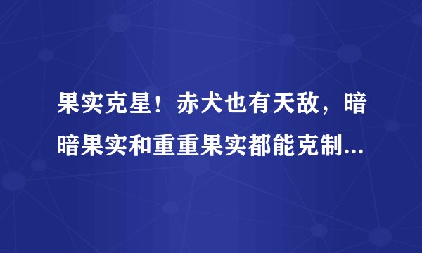 果实克星！赤犬也有天敌，暗暗果实和重重果实都能克制岩浆果实