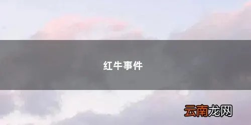 红牛事件