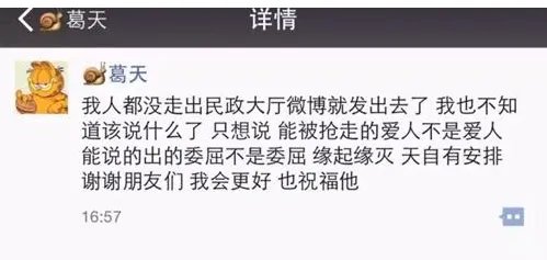 葛天刘翔为什么离婚