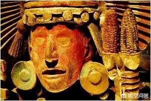 玉米的原产地是哪里？