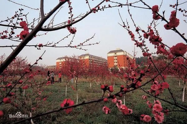 长沙学院怎么样？