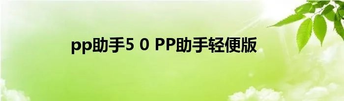 pp助手5 0 PP助手轻便版