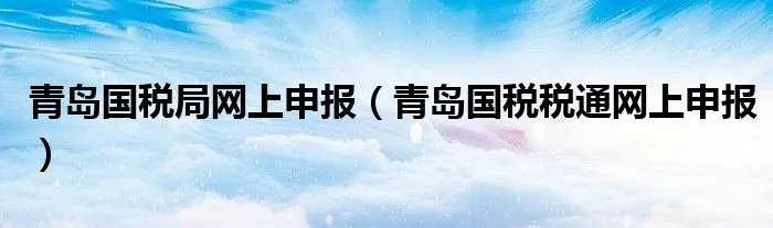 青岛国税局网上申报（青岛国税税通网上申报）