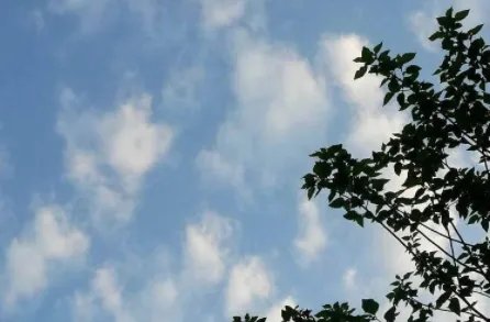 上海空气质量实时发布系统