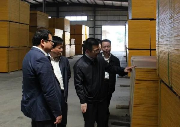 竞网是做什么的