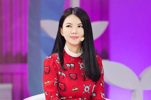 湖南卫视十大著名主持人 何炅第一，汪涵、谢娜上榜