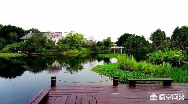 广州海珠湿地公园好玩嘛?