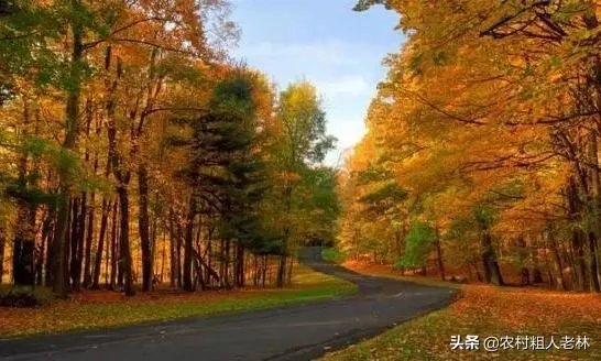 到哪里旅游最好玩？