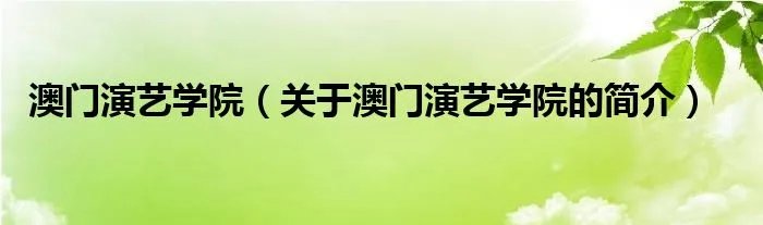 澳门演艺学院（关于澳门演艺学院的简介）