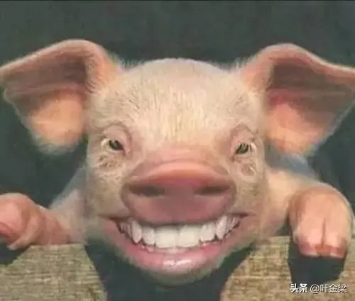 怎样区分书法名人作品与名人书法作品？