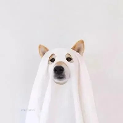 抖音最火情侣头像大全