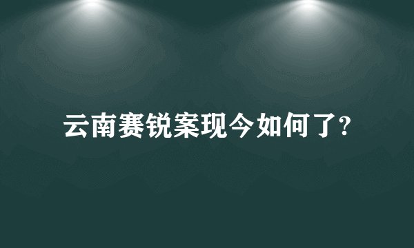 云南赛锐案现今如何了?