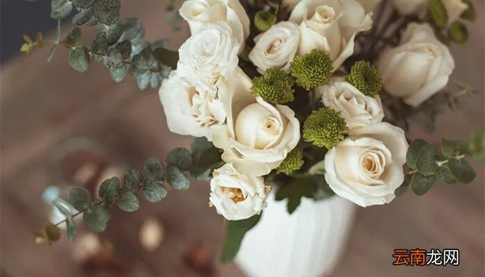 66朵白玫瑰花语，十九朵白玫瑰的花语？