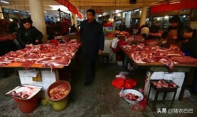 近期猪价行情再现低迷,部分地区已降到10元以内,7月的行情是否会有所好转呢?