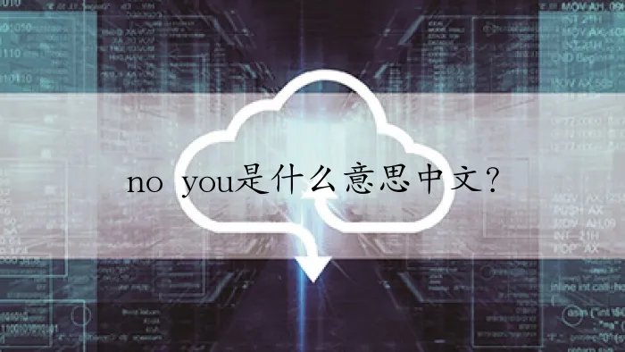 no you是什么意思中文？