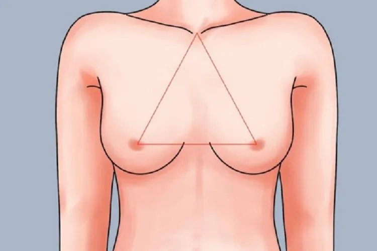 乳腺癌与正常图片