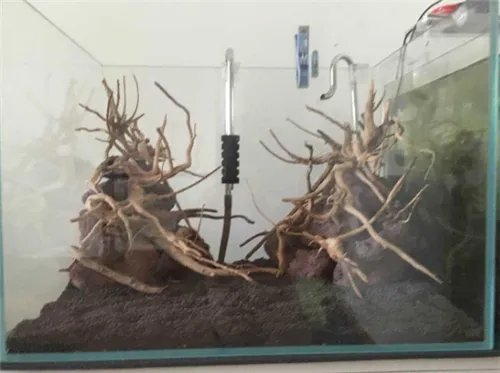 初学者水草缸造景教程 初学者的你进来看看