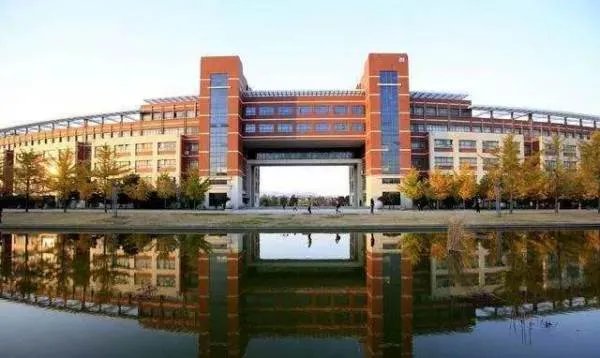 武汉一中学女孩从11层楼顶跳楼坠亡，谁应该为此女孩因作业压力跳楼负责？