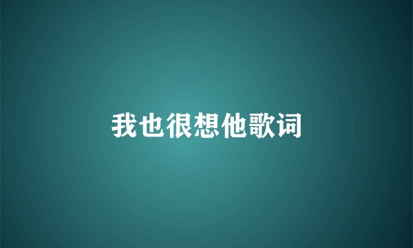我也很想他歌词