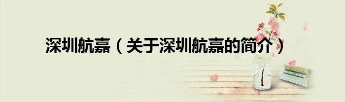 深圳航嘉（关于深圳航嘉的简介）
