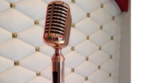 电容麦是什么意思