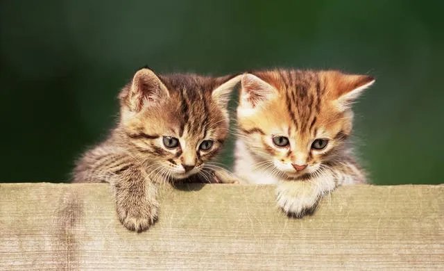 机械制造厂为什么有这么多？