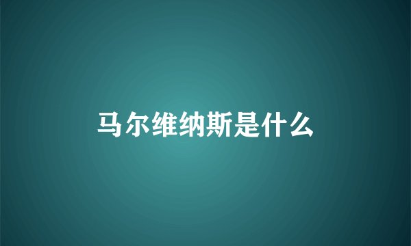 马尔维纳斯是什么
