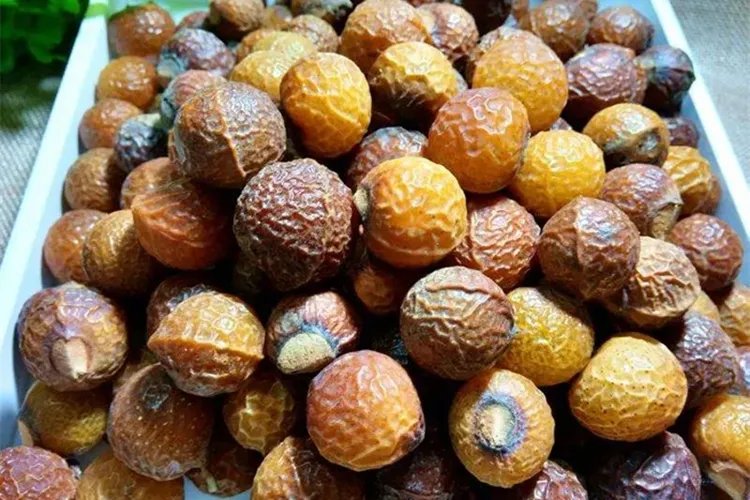 中药鬼见愁别名和图片