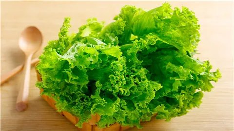 生菜的功效与作用