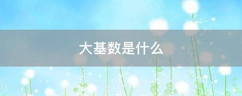 大基数是什么