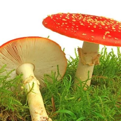 暗自流泪对身体好吗？女人为什么哭泣？