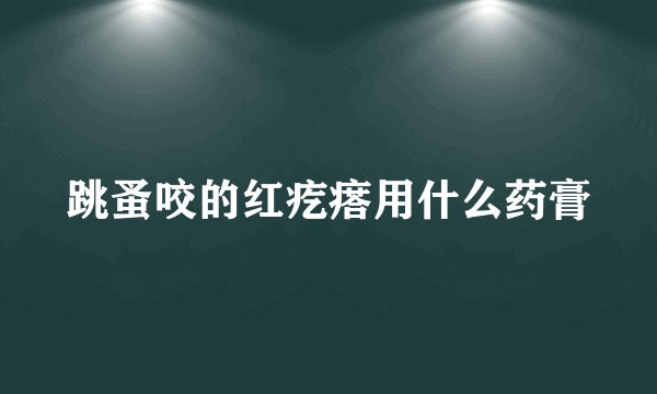 跳蚤咬的红疙瘩用什么药膏