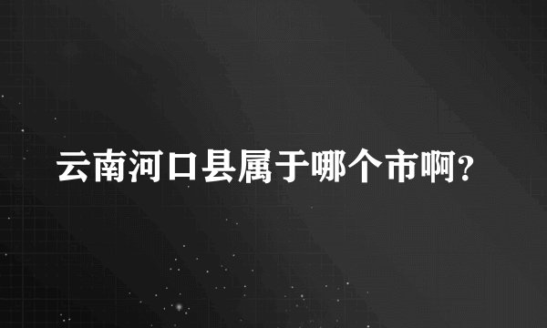 云南河口县属于哪个市啊？