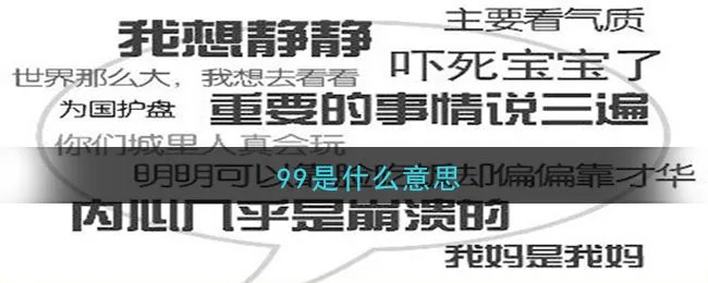 99是什么意思网络用语