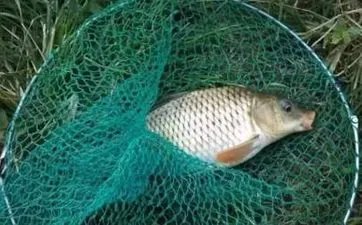 脖子后面有痣代表什么_传统相术