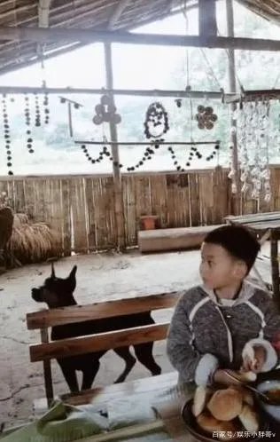 乐嘉女儿如今怎么样了