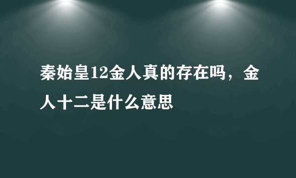 秦始皇12金人真的存在吗，金人十二是什么意思