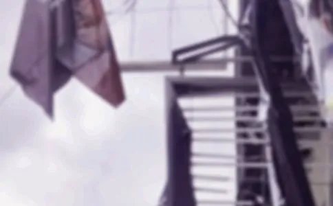 台风云雀最新消息