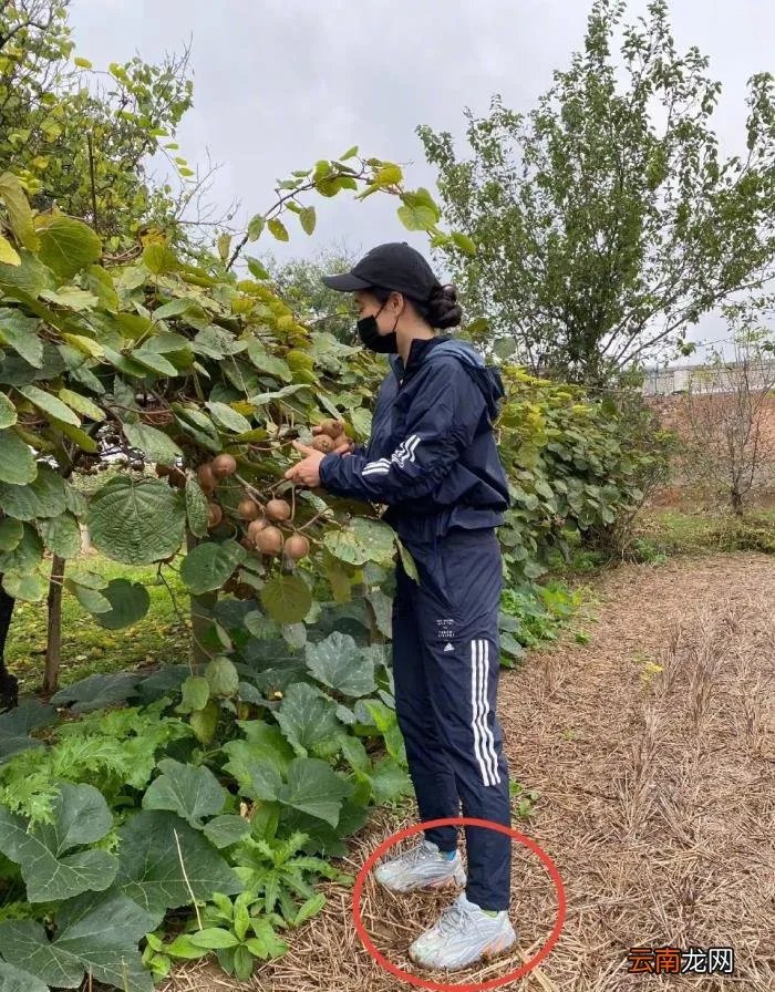 网红鼻祖芙蓉姐姐近况 芙蓉姐姐以前的照片