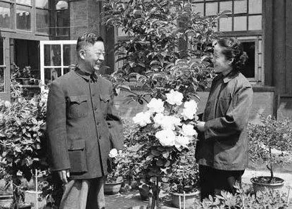 老舍的原名叫什么？