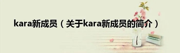 kara新成员（关于kara新成员的简介）