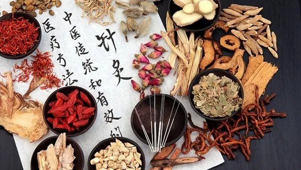 地骨皮的功效与作用 地骨皮现代应用方法有什么