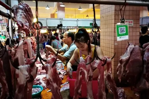 8月猪肉价格同比下降44.9%,是什么原因导致的?