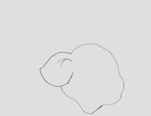 可爱的小猪是怎么画的