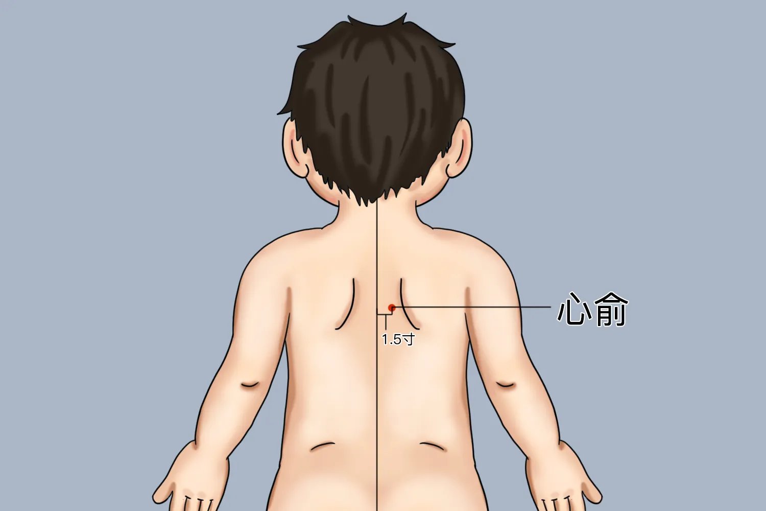 儿童三伏贴位置详细图