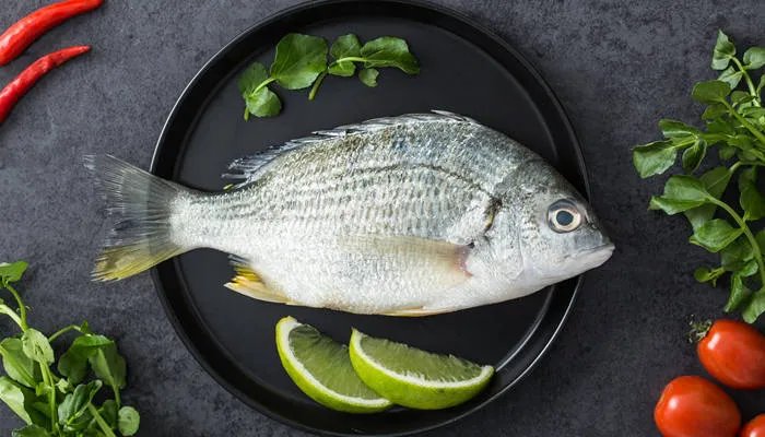 文昌鱼是鱼吗 文昌鱼又称为什么鱼